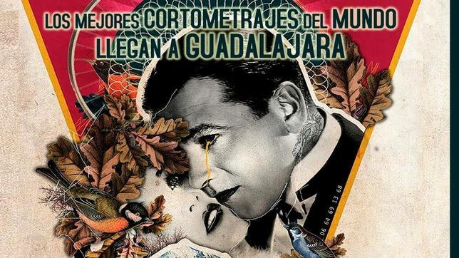 El festival internacional de cortos Future Shorts llega a Guadalajara este sábado