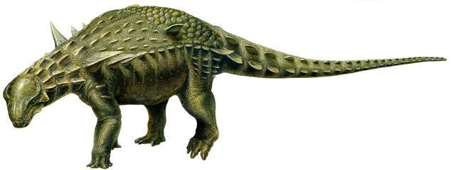 Hallan en una mina de Teruel el dinosaurio acorazado más completo de Europa