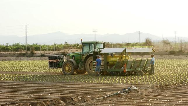 Los agricultores aprenden a sacar el máximo partido a la Fruit Logistica
