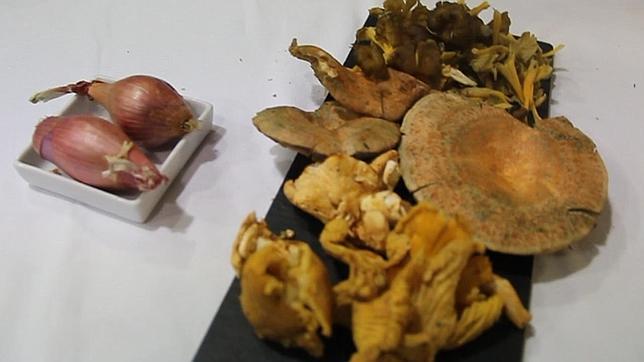 Tres propuestas para exprimir al máximo la temporada de setas