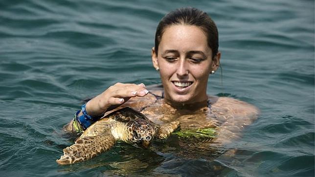 Tortugas marinas al servicio de la investigación