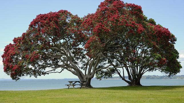 Las celebraciones de fin de año más curiosas del mundo