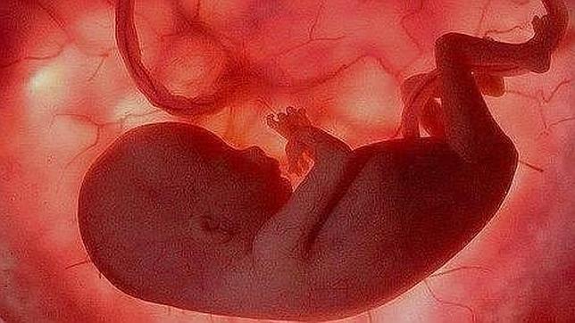 El Partido Socialista francés convoca una concentración contra la reforma del aborto