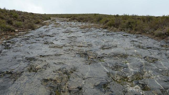 Las huellas de los dinosaurios en Igea