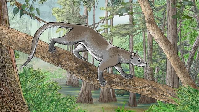 El antepasado europeo de leones, tigres y osos