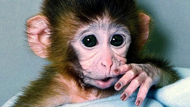 Diez grandes logros científicos que llegarán en 2014