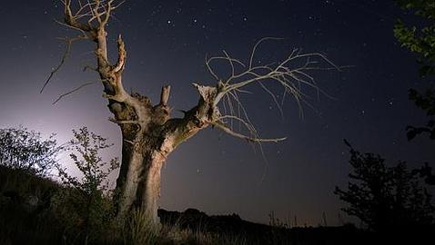 Medio Ambiente destina 3,1 millones de euros a fomentar el empleo entre jóvenes menores de 30 años