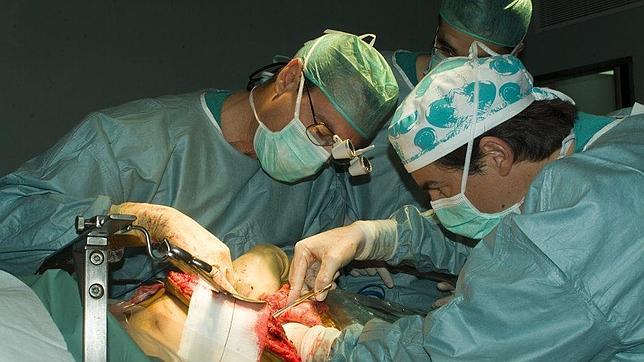 Sanidad prohíbe las campañas de donación de órganos y células para pacientes concretos