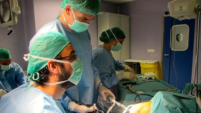 La Comunidad Valenciana bate el récord de trasplantes