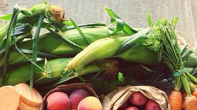 El supermercado ecológico más grande de España abrirá sus puertas este martes en Valencia con descuentos del 15 por ciento