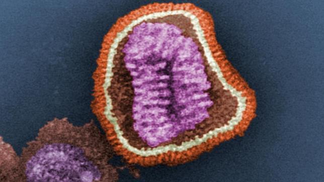 La gripe A ha llegado para quedarse