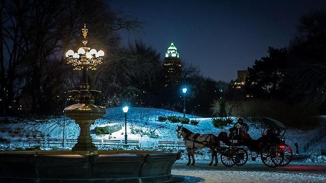 La posible prohibición de pasear a caballo por Central Park divide a Nueva York