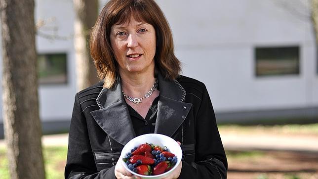 Chocolate, vino y frutas rojas, un buen menú para prevenir la diabetes