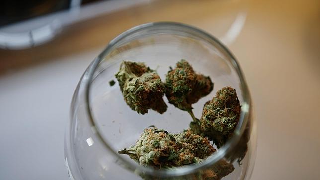 La Guardia Civil acaba con el menudeo de droga en Las Rozas, Galapagar y Parla