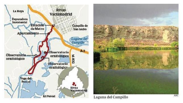 Paseos para disfrutar del buen tiempo en Madrid