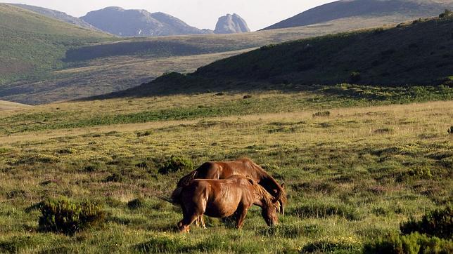 Custodia del territorio: todas las comunidades autónomas acogen proyectos
