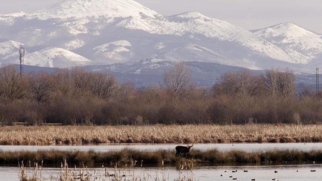 Conservar los humedales para asegurar la «Agricultura Familiar» de Naciones Unidas