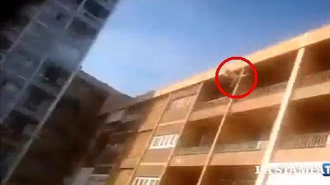 Lanza a su gato contra un muro, lo graba y sube el vídeo a Youtube