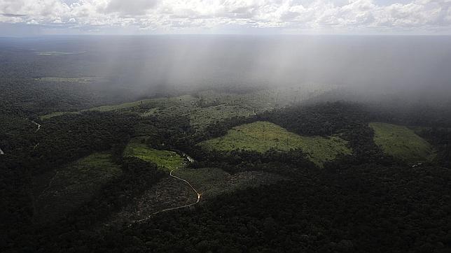 El Amazonas dejará de enfriar la atmósfera