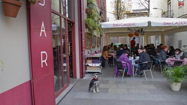 El bar Calders da la bienvenida a las mascotas perrunas