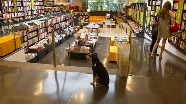 Todas las tiendas de la Casa del Libro permiten el acceso a los perros