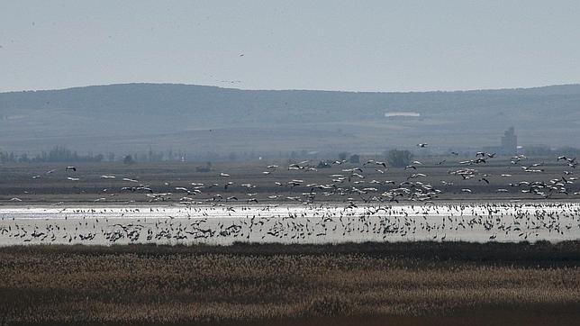 Laguna de Gallocanta