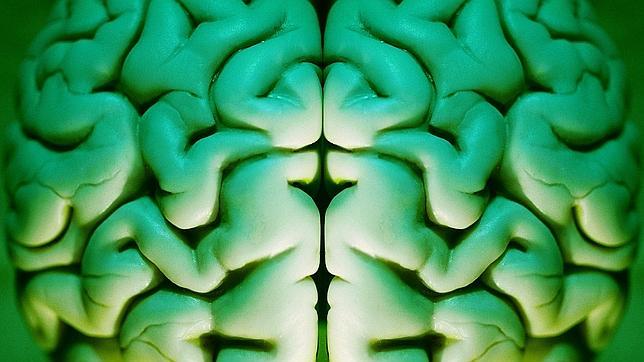 ¿La inteligencia está en los genes?