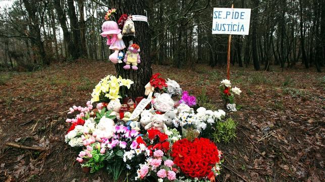 Asunta Basterra pudo ser sedada hasta en cuatro ocasiones