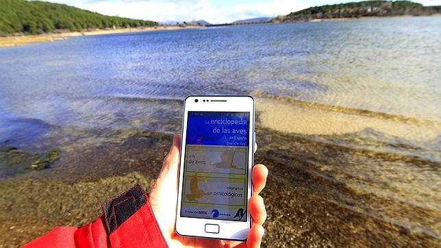 Crean la primera «app» para observar y conocer sobre el terreno las aves españolas
