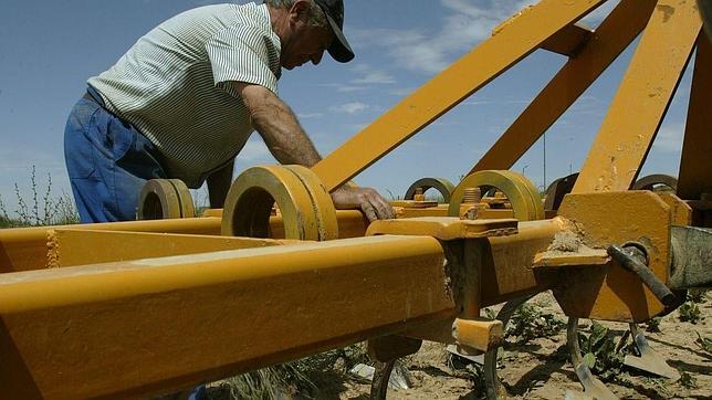 Aragón ofrece casi 8 millones de euros a jóvenes que quieran hacerse agricultores