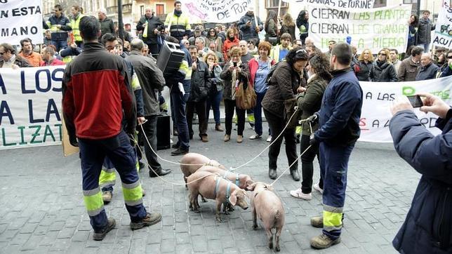 Más de 200 ganaderos protestan en Toledo por el cierre de las plantas de purines