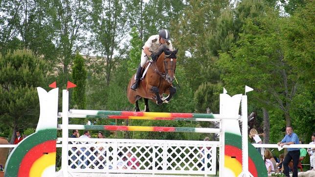 El Ministerio de Defensa subastará 24 caballos, 4 de ellos pura sangre inglés