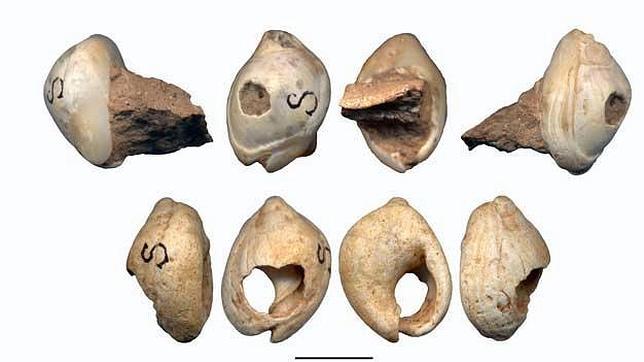 Las conchas perforadas