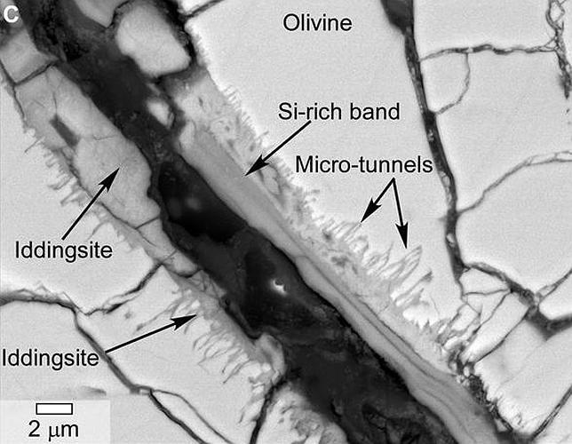 ¿Pruebas de vida en un nuevo meteorito marciano?