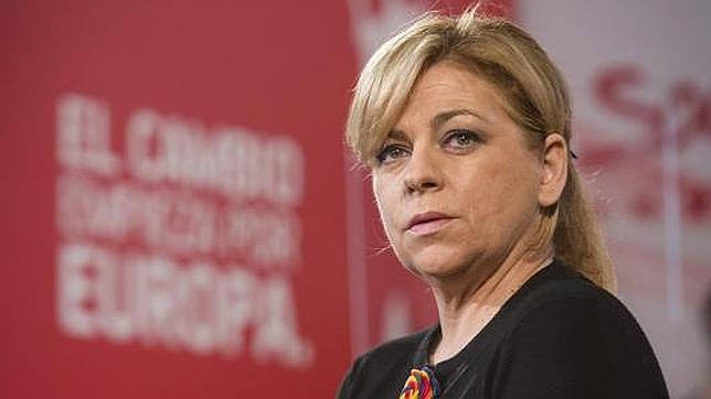 El PSOE lleva la Lomce al Constitucional por ser «mala para la democracia»