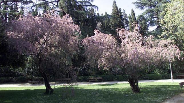 Quinta y parque de la Fuente del Berro de Madrid