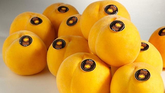 Calanda, el pueblo dueño de una marca que vale más de 2 millones al año