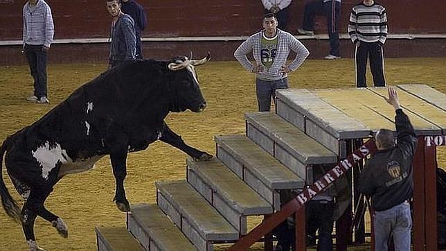Fallas 2014: El toro Ratón «resucita» en la falla Malvarrosa