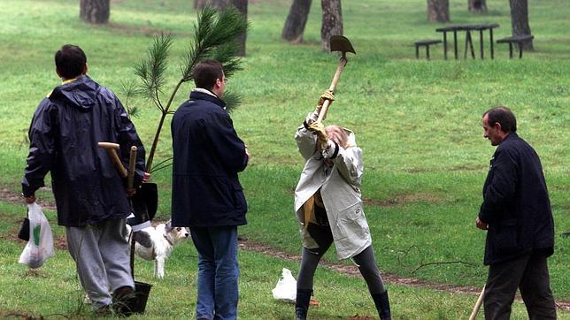 Valdebebas tendrá un bosque ciudadano