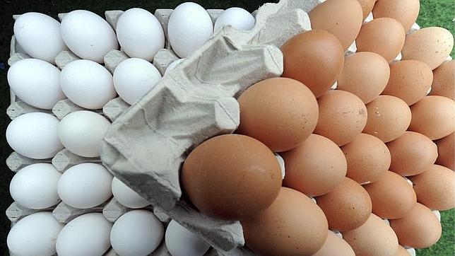 Inspecciones para asegurar la procedencia de los huevos camperos