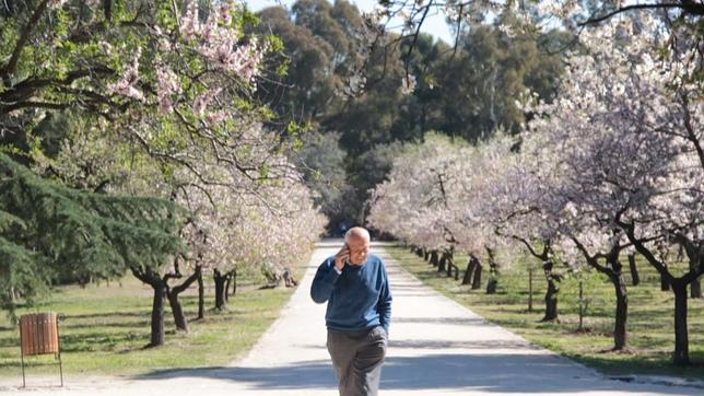 La primavera sobrevive a la ciudad