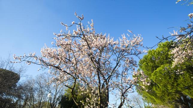 Un día de brisa seco y soleado es el peor para los alérgicos.