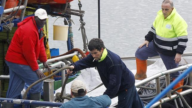 El plan del cerco para el jurel fija un cupo diario de 100 cajas y precios de 5 y 7 euros