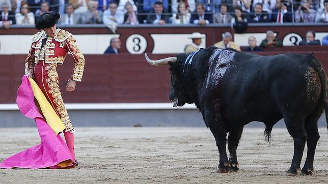 Miguel Ángel Perera