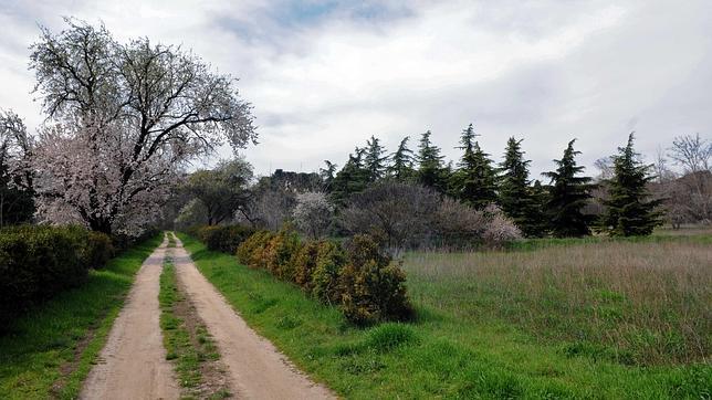 Los rincones secretos de la Quinta Torre Arias