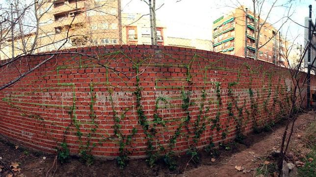 Una estructura de hilos sustenta una serie de enredaderas que trepan por la pared