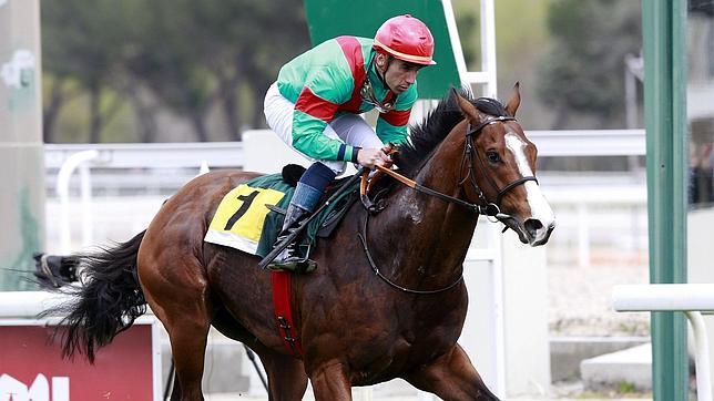 El mejor potro español vuela en el Hipódromo de la Zarzuela