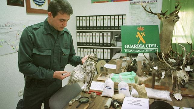 El Seprona detuvo a 431 personas en 2013