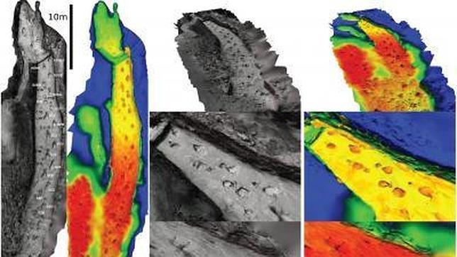 Reconstruyen una persecución de dinosaurios de hace 110 millones de años