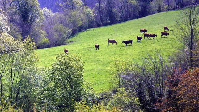 En los últimos años el turismo en la región no se ha constituido un elemento diferencial positivo